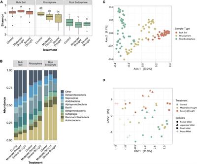 Drought Drives Spatial Variation in the Millet Root Microbiome